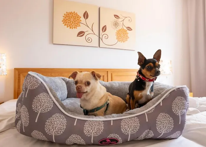 Gf Isabel 4* Costa Adeje (Tenerife)